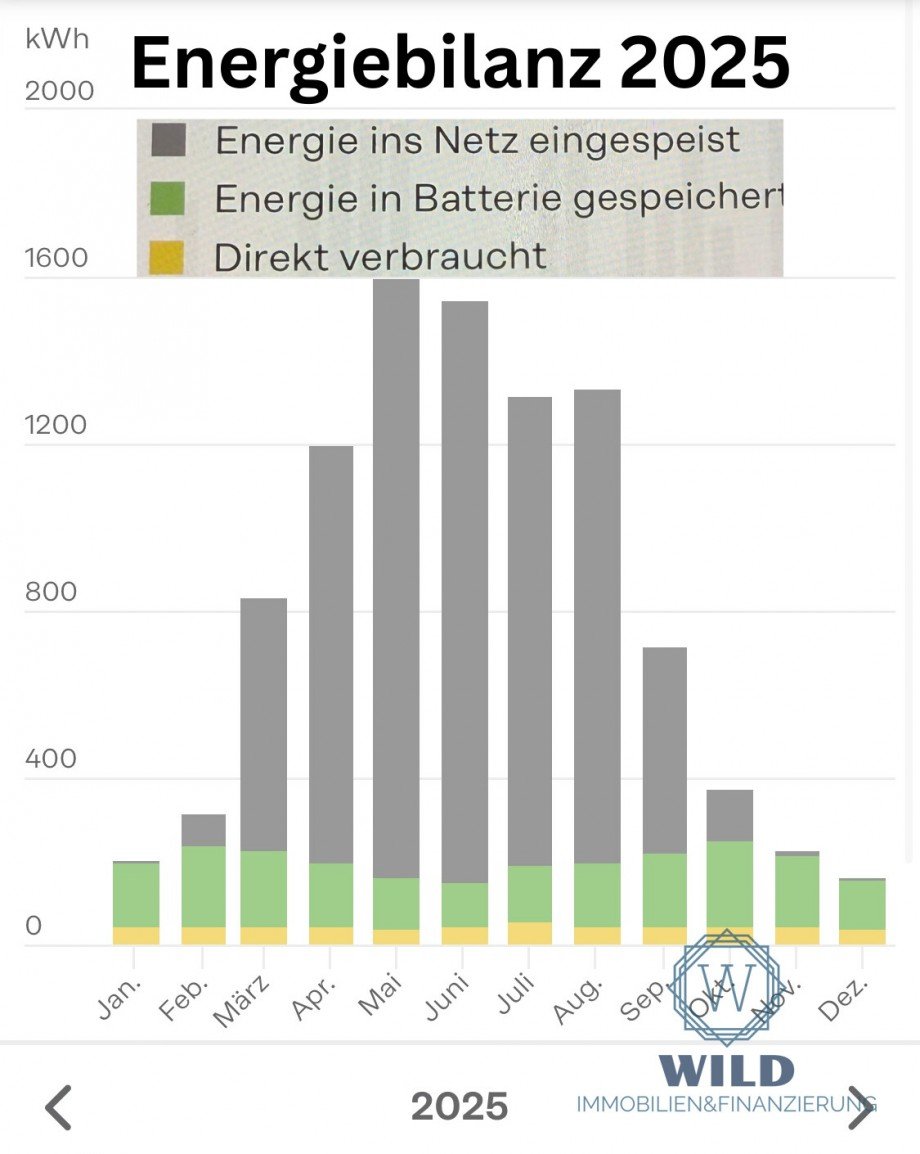 Ertrag Photovoltaik 2025 Zweifamilienhaus Illingen